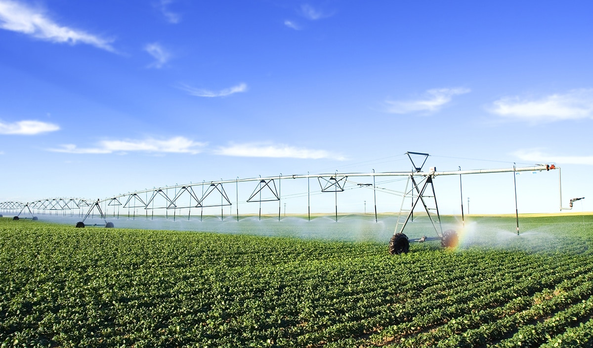 Farm irrigator watering farm crops with bright blue sky
