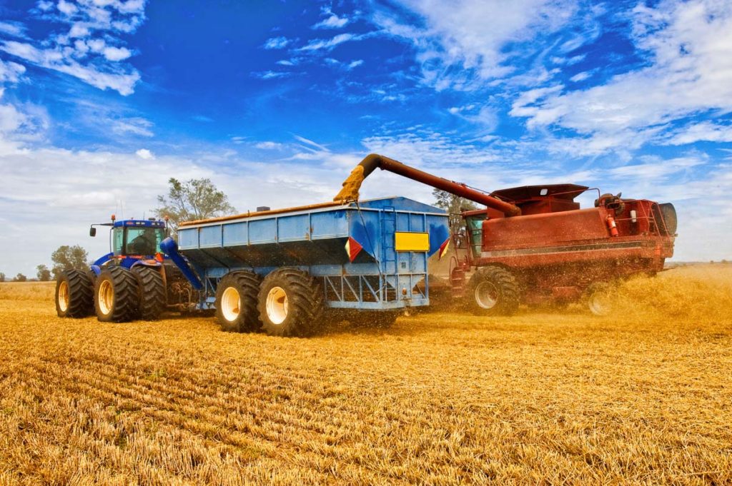 Tractors farm contracting wheat with blue sky